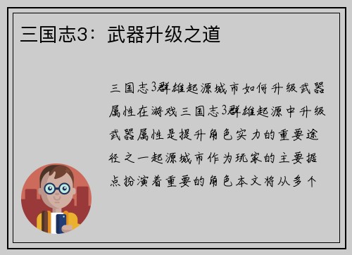 三国志3：武器升级之道